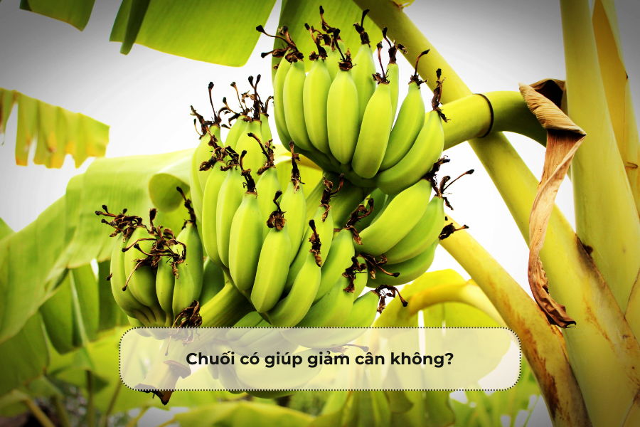 Chuối có giúp giảm cân không