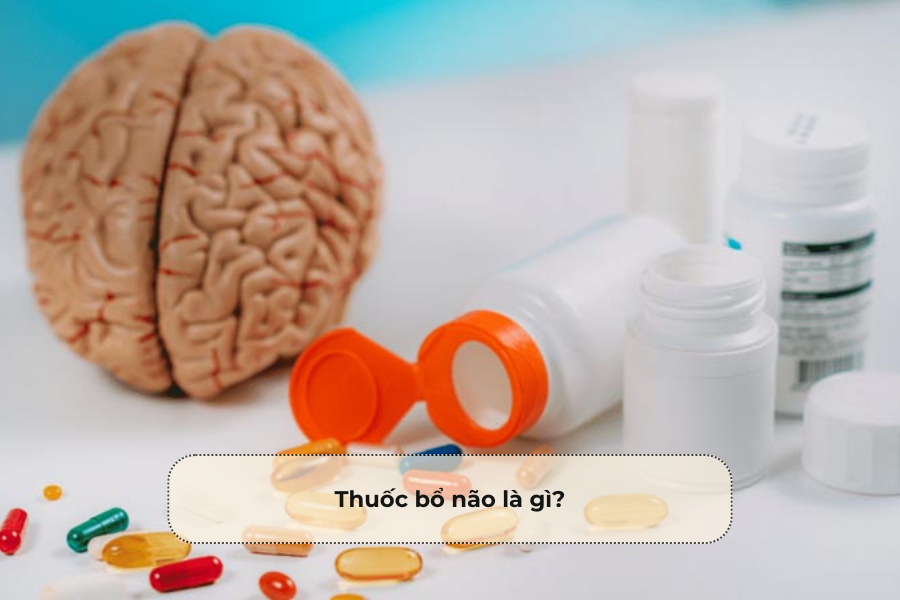 Thuốc bổ não là gì