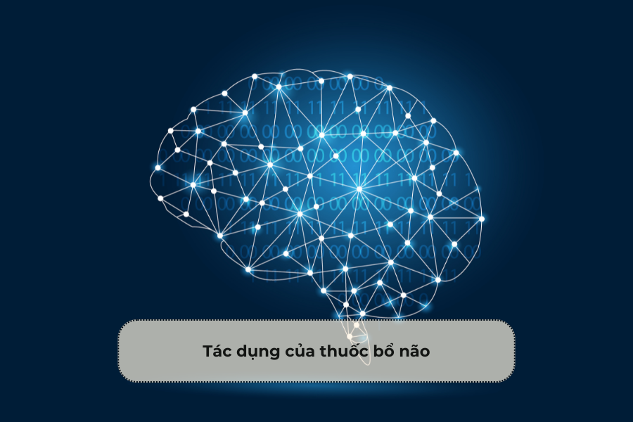 Tác dụng của thuốc bổ não