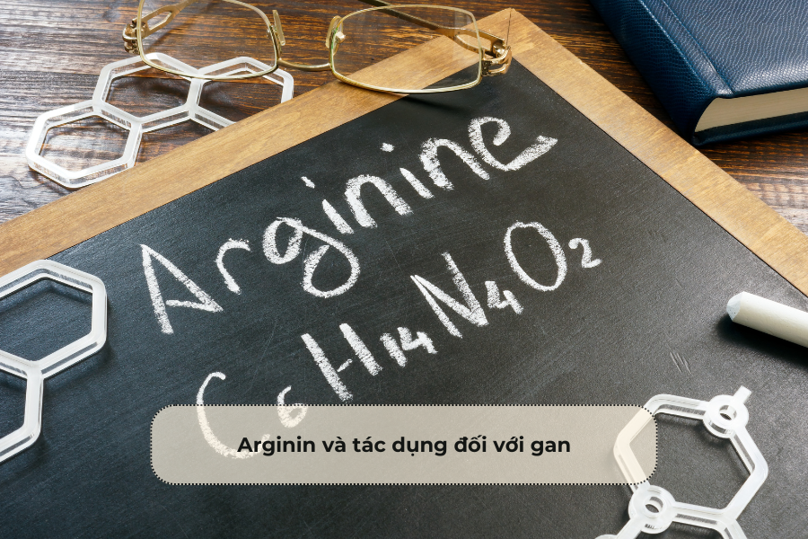 Arginin và tác dụng đối với gan