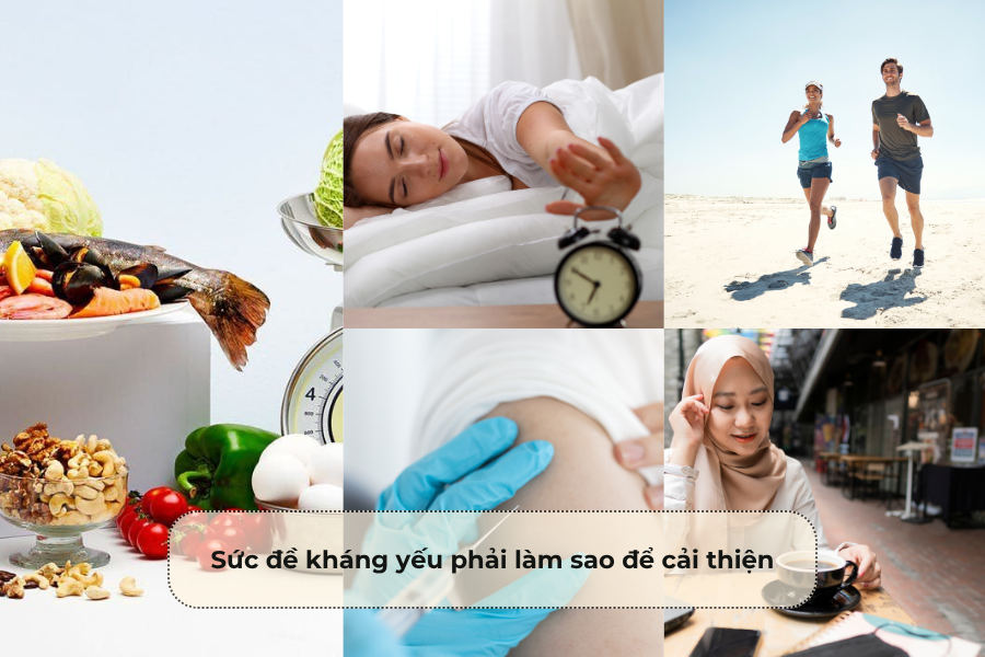 Sức đề kháng yếu phải làm sao để cải thiện