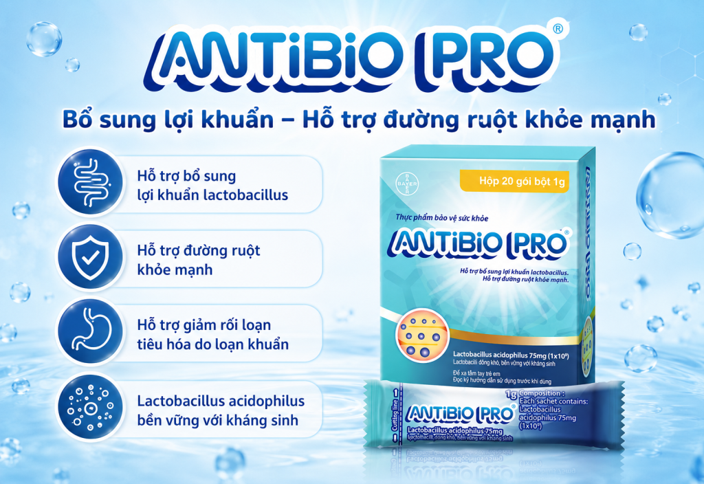 antibio-la-men-vi-sinh-hay-men-tieu-hoa-phan-biet-dung-de-dung-phu-ho-3
