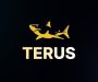 Terus Là Ai? Đơn vị cung cấp dịch vụ SEO uy tín chuyên nghiệp tại Việt Nam